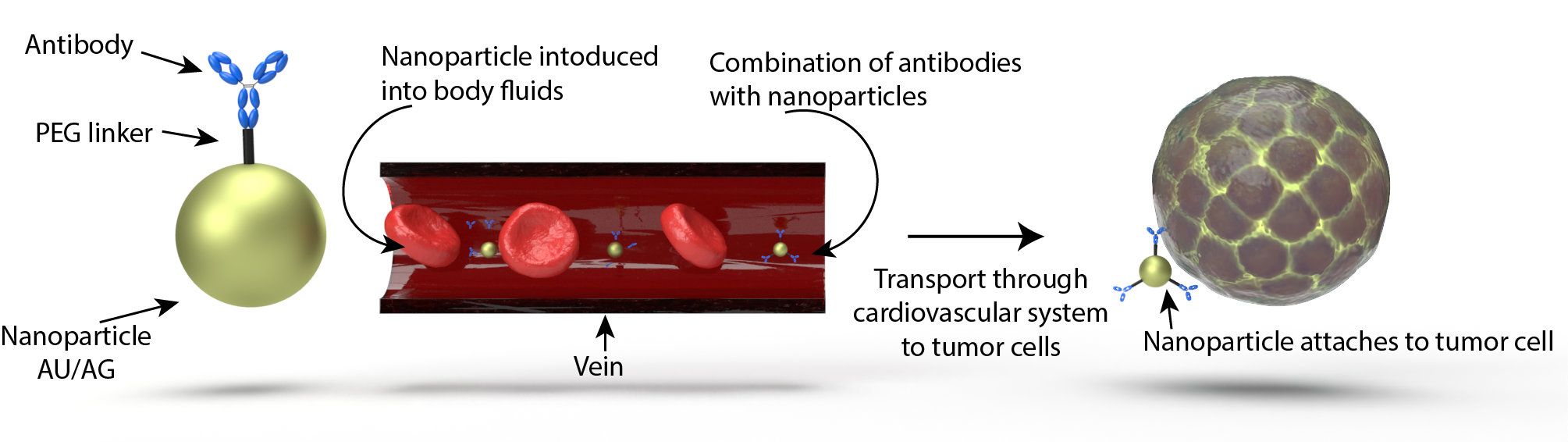 Innovative Approaches to Cancer Treatment Using Nanoparticle-Based Therapies