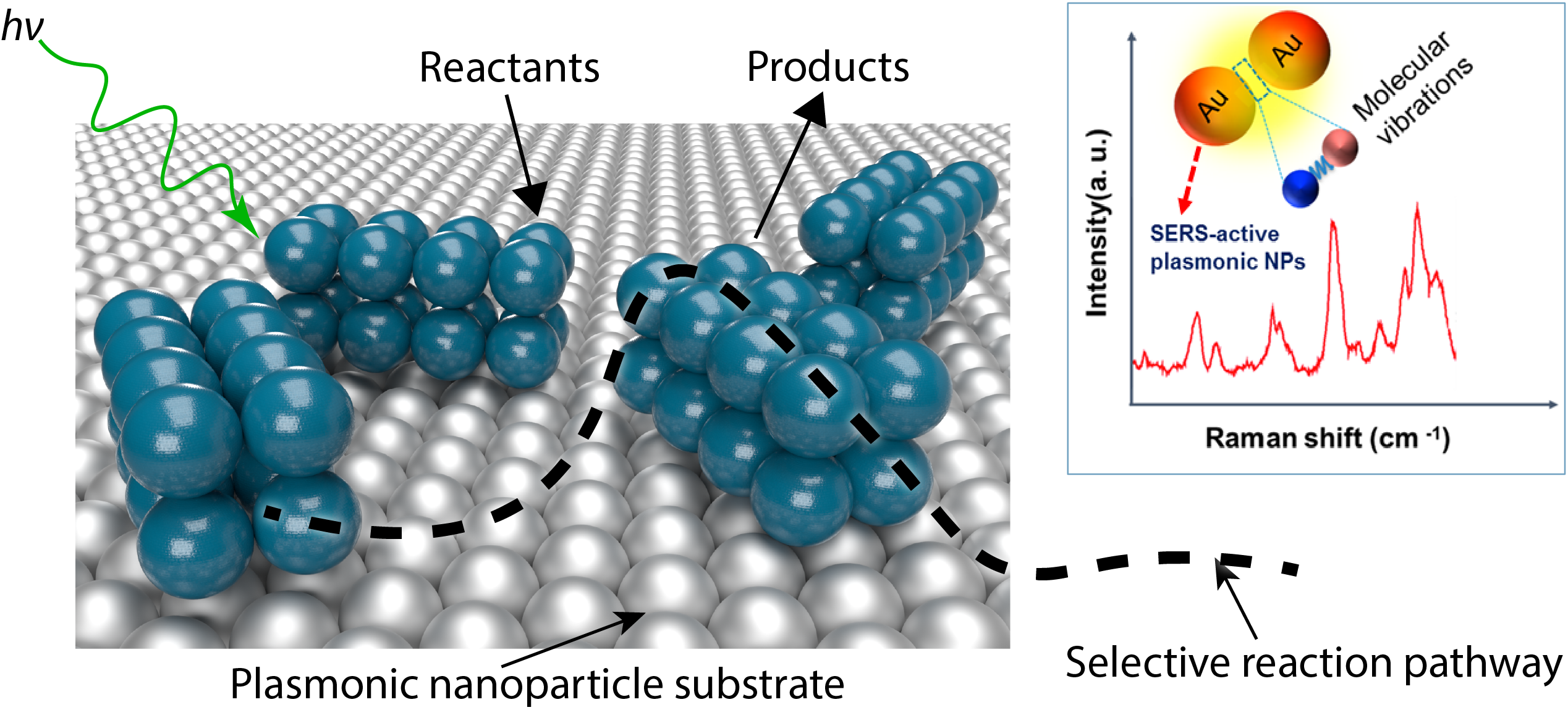 Active Metal Nanoparticles for Monitoring Surface Catalytic Reactions